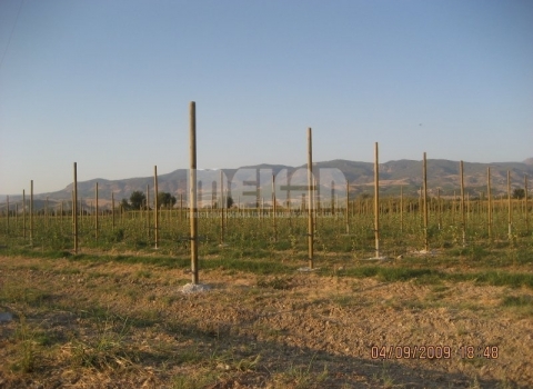 Telli Terbiye Yüksek Sistem