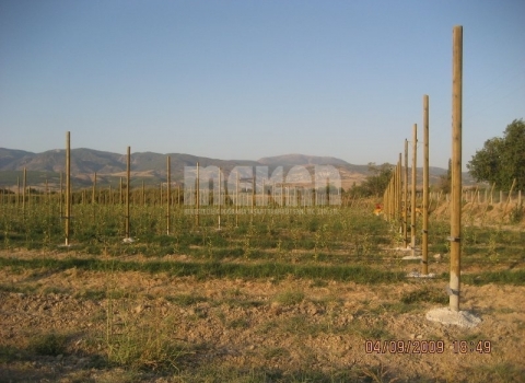 Telli Terbiye Yüksek Sistem