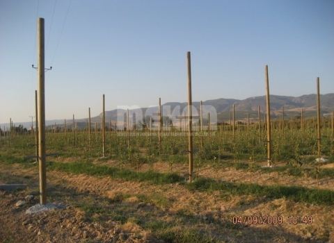 Telli Terbiye Yüksek Sistem