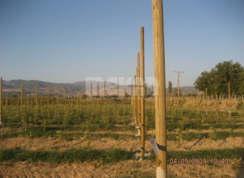 Telli Terbiye Yüksek Sistem